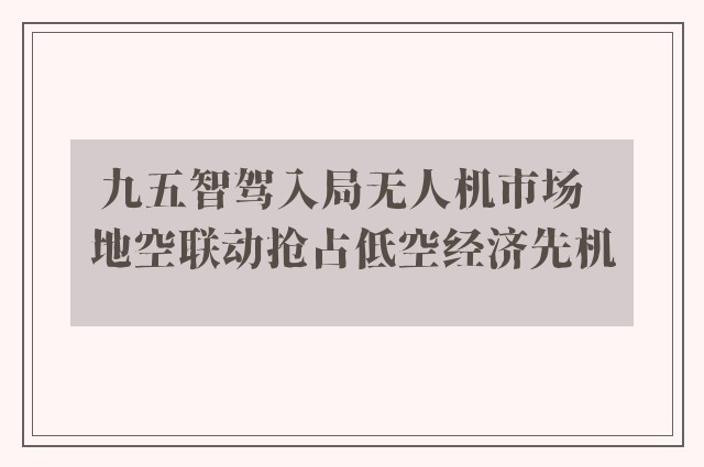 九五智驾入局无人机市场  地空联动抢占低空经济先机