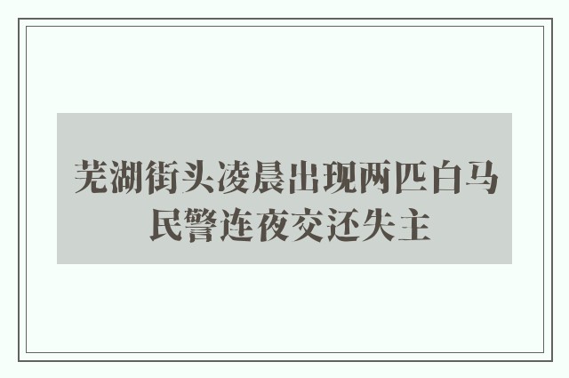 芜湖街头凌晨出现两匹白马 民警连夜交还失主