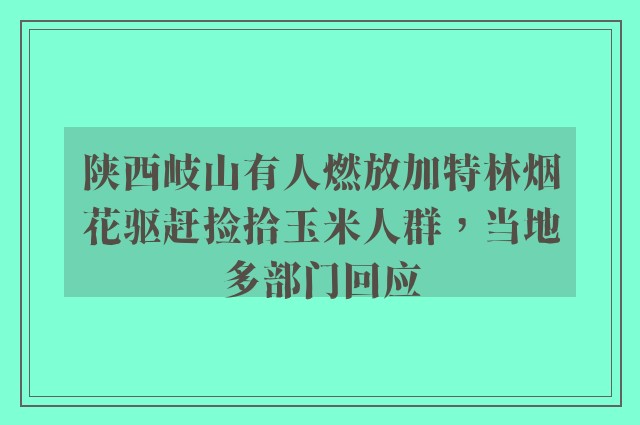 陕西岐山有人燃放加特林烟花驱赶捡拾玉米人群，当地多部门回应