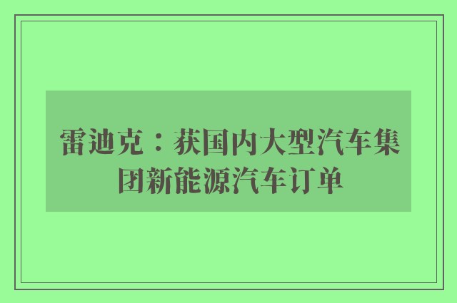 雷迪克：获国内大型汽车集团新能源汽车订单