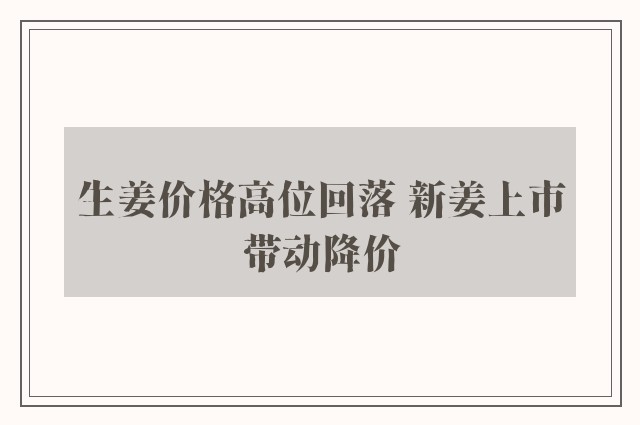 生姜价格高位回落 新姜上市带动降价