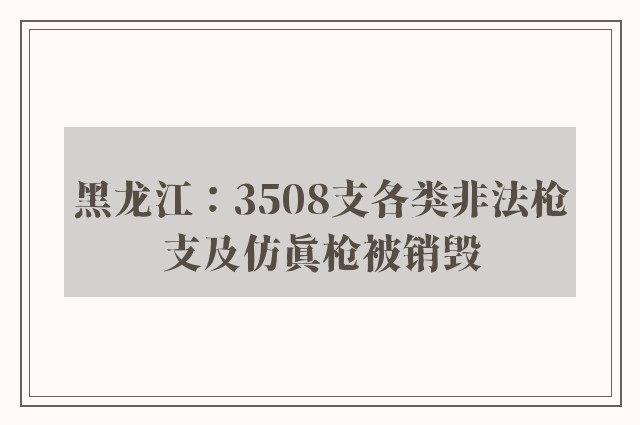 黑龙江：3508支各类非法枪支及仿真枪被销毁