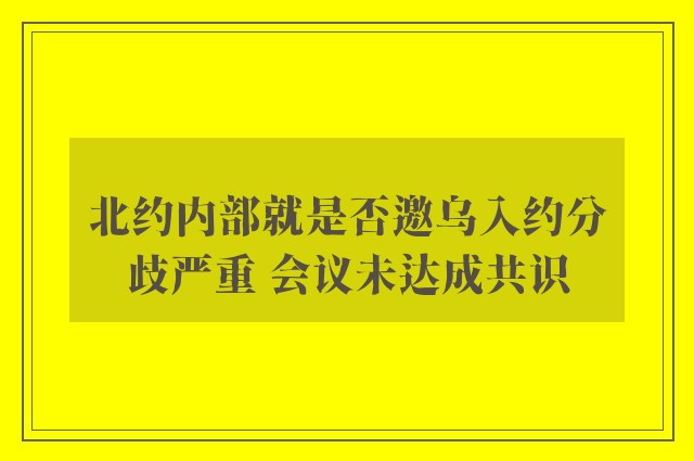 北约内部就是否邀乌入约分歧严重 会议未达成共识