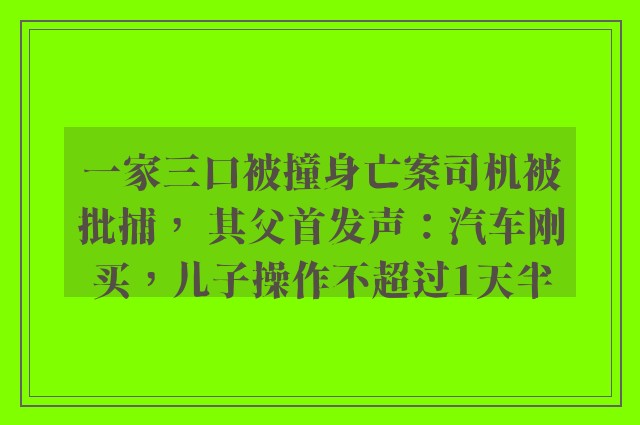 一家三口被撞身亡案司机被批捕， 其父首发声：汽车刚买，儿子操作不超过1天半