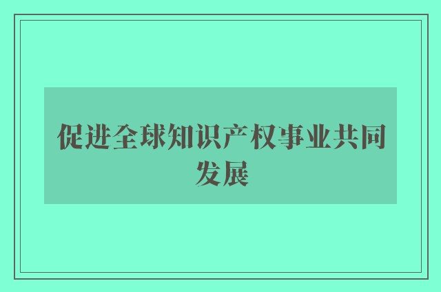 促进全球知识产权事业共同发展