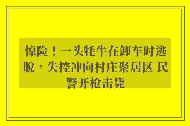 惊险！一头牦牛在卸车时逃脱，失控冲向村庄聚居区 民警开枪击毙