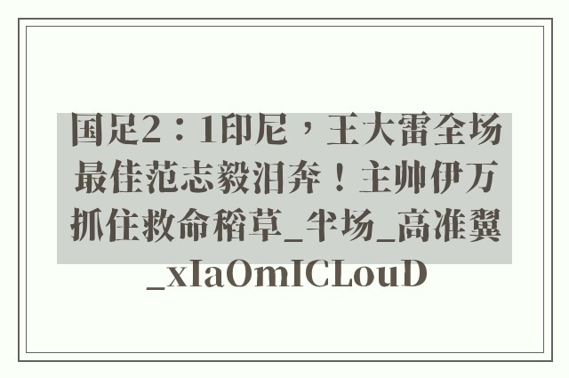 国足2：1印尼，王大雷全场最佳范志毅泪奔！主帅伊万抓住救命稻草_半场_高准翼_xIaOmICLouD