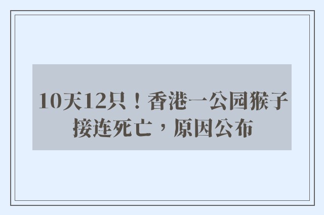 10天12只！香港一公园猴子接连死亡，原因公布