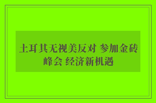 土耳其无视美反对 参加金砖峰会 经济新机遇