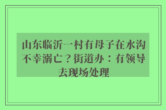 山东临沂一村有母子在水沟不幸溺亡？街道办：有领导去现场处理