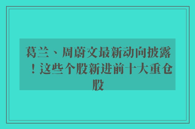 葛兰、周蔚文最新动向披露！这些个股新进前十大重仓股