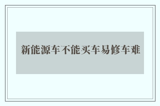 新能源车不能买车易修车难