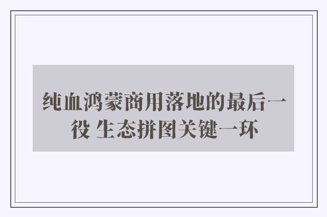 纯血鸿蒙商用落地的最后一役 生态拼图关键一环