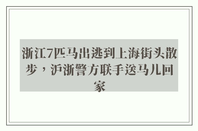 浙江7匹马出逃到上海街头散步，沪浙警方联手送马儿回家