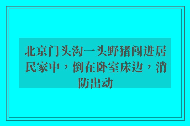 北京门头沟一头野猪闯进居民家中，倒在卧室床边，消防出动