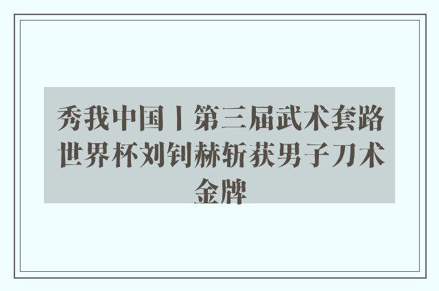 秀我中国丨第三届武术套路世界杯刘钊赫斩获男子刀术金牌