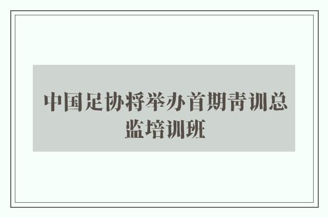 中国足协将举办首期青训总监培训班