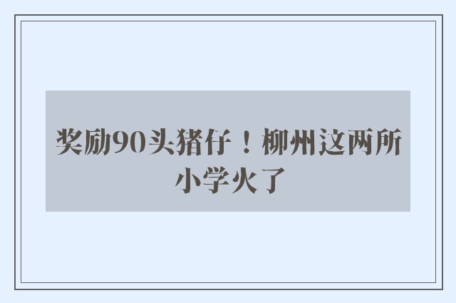 奖励90头猪仔！柳州这两所小学火了