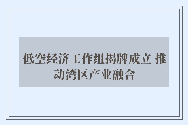 低空经济工作组揭牌成立 推动湾区产业融合