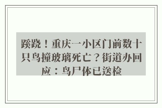 蹊跷！重庆一小区门前数十只鸟撞玻璃死亡？街道办回应：鸟尸体已送检