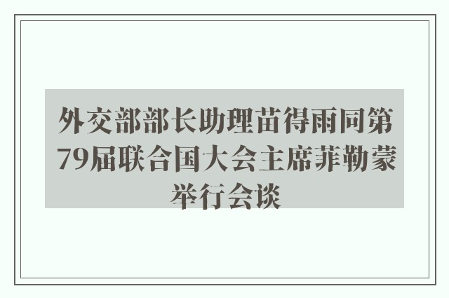 外交部部长助理苗得雨同第79届联合国大会主席菲勒蒙举行会谈