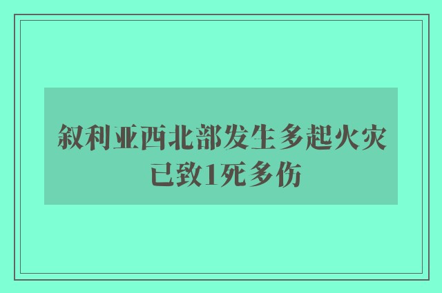 叙利亚西北部发生多起火灾 已致1死多伤