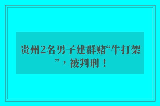 贵州2名男子建群赌“牛打架”，被判刑！