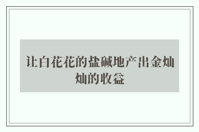 让白花花的盐碱地产出金灿灿的收益