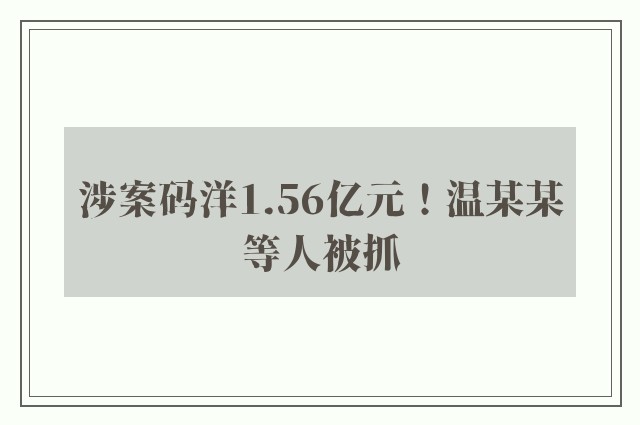 涉案码洋1.56亿元！温某某等人被抓