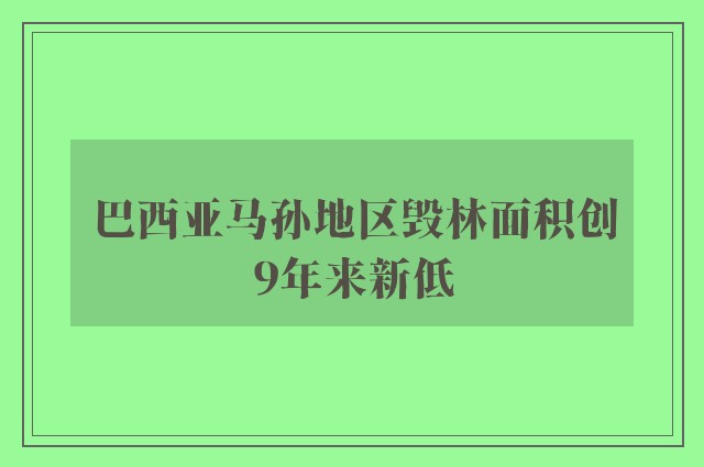 巴西亚马孙地区毁林面积创9年来新低