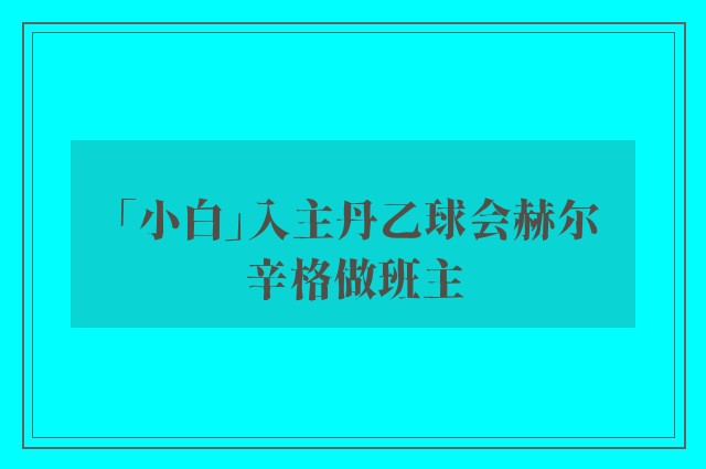 「小白」入主丹乙球会赫尔辛格做班主