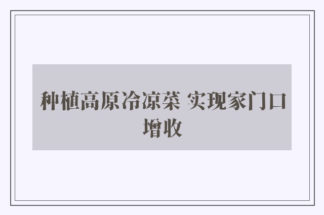 种植高原冷凉菜 实现家门口增收