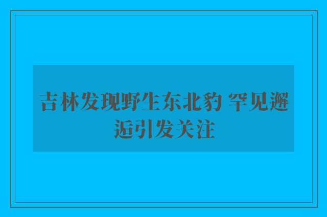 吉林发现野生东北豹 罕见邂逅引发关注