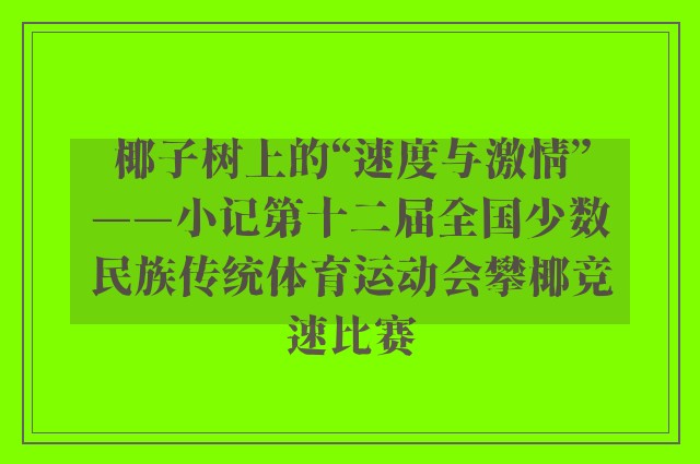 椰子树上的“速度与激情”——小记第十二届全国少数民族传统体育运动会攀椰竞速比赛