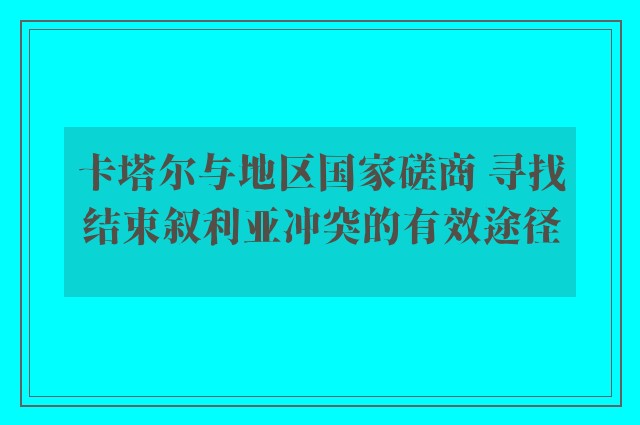 卡塔尔与地区国家磋商 寻找结束叙利亚冲突的有效途径